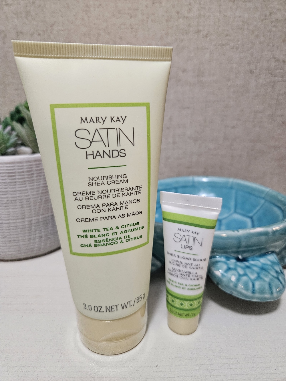 Mary Kay Satin Hands & Lips Duo -
